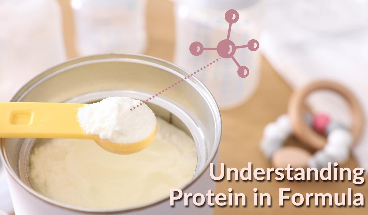 Understanding Protein in Formula