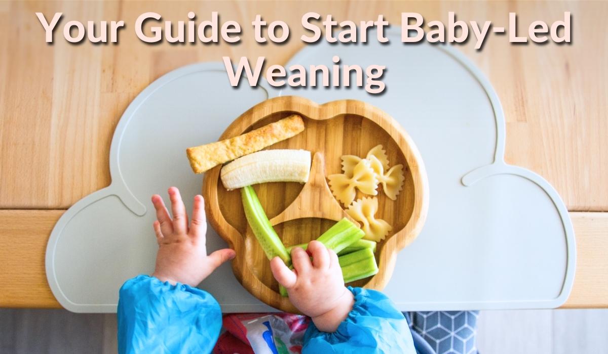 Your Guide to Start Baby-Led Weaning