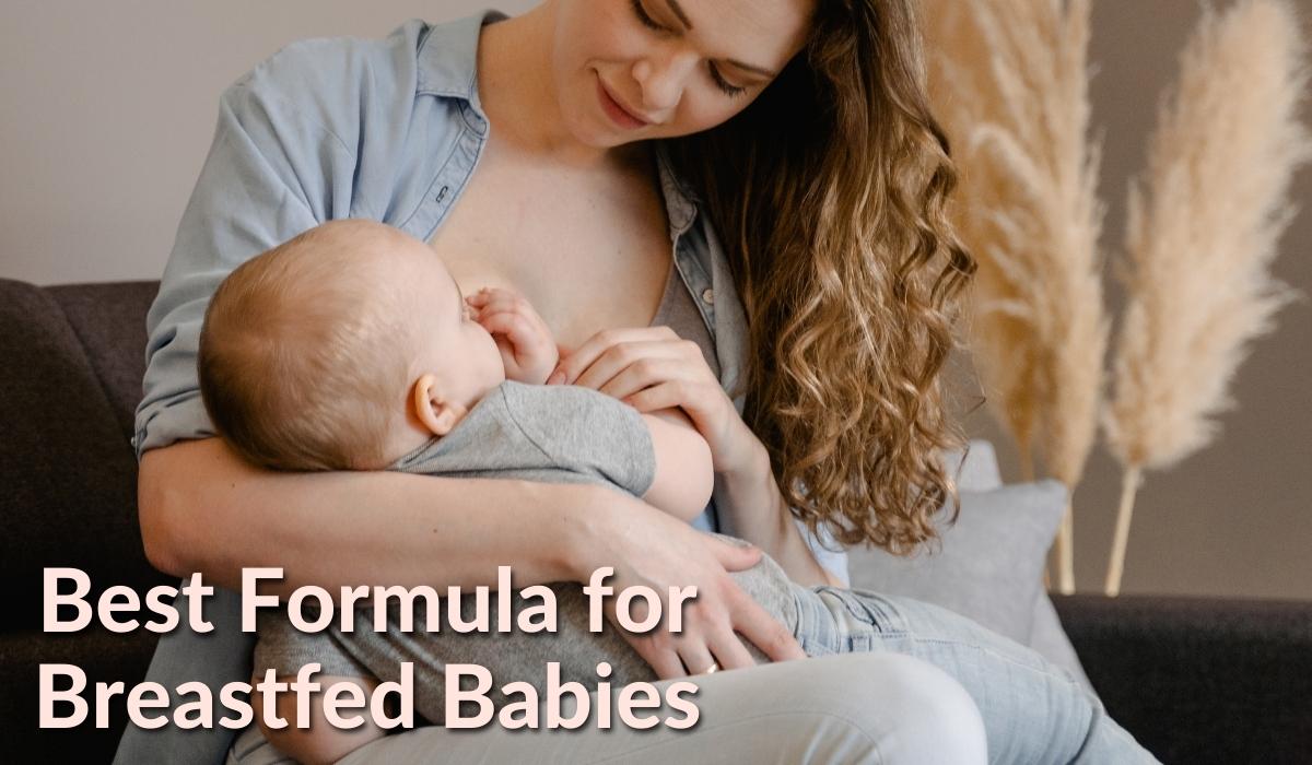 Best Formula for Breastfed Babies 2023 Guide