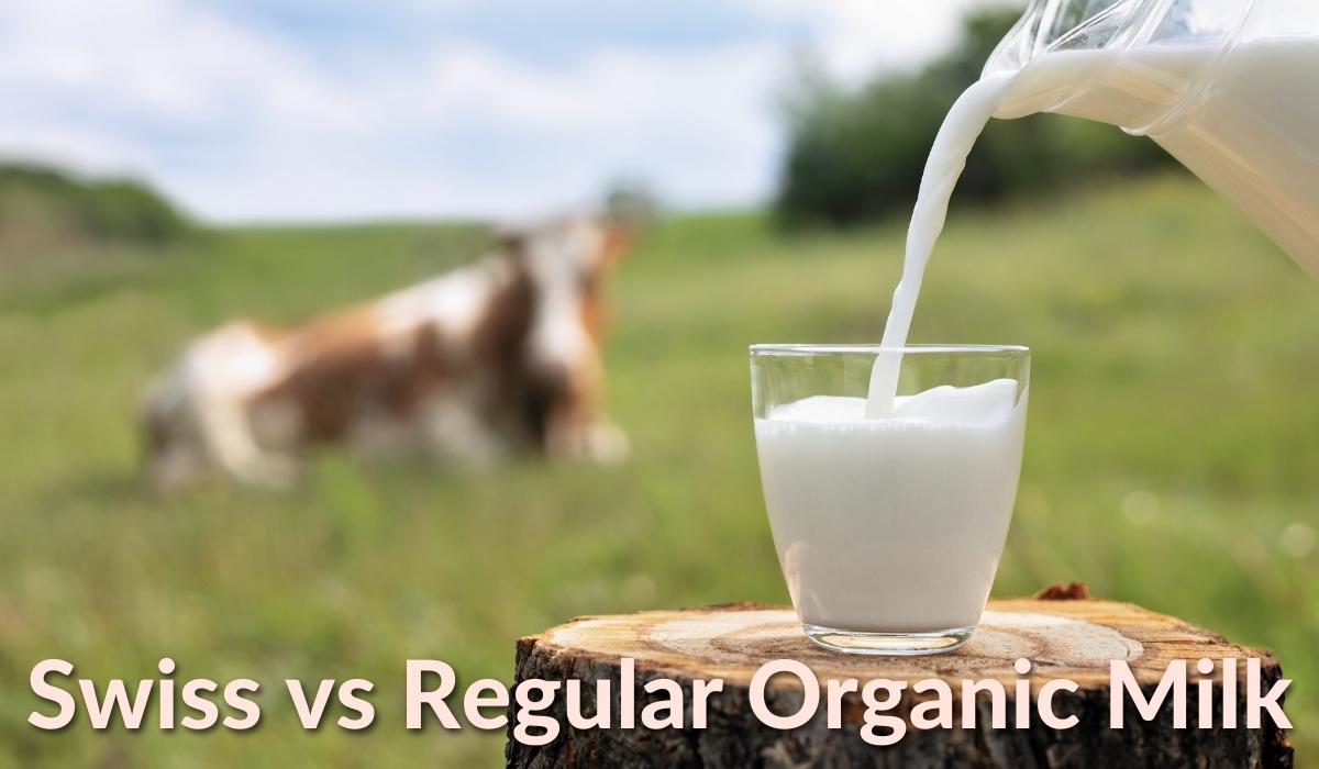 Swiss Milk vs Standard Organic Milk