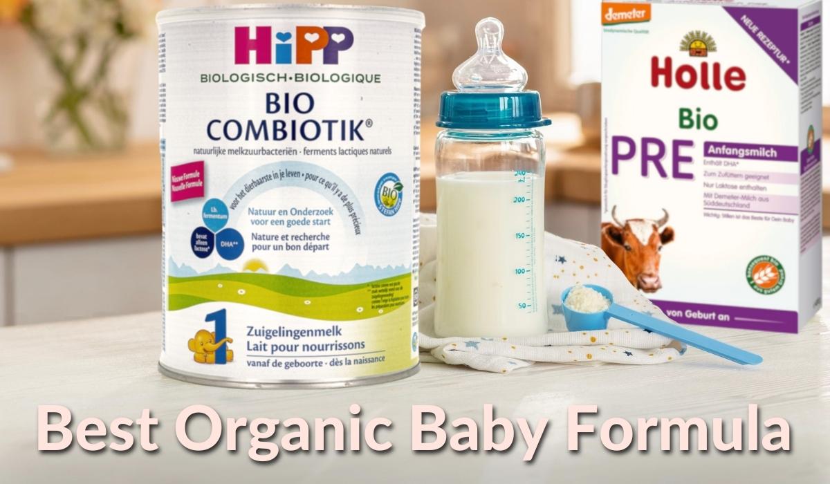 Best Organic Baby Formula 2023