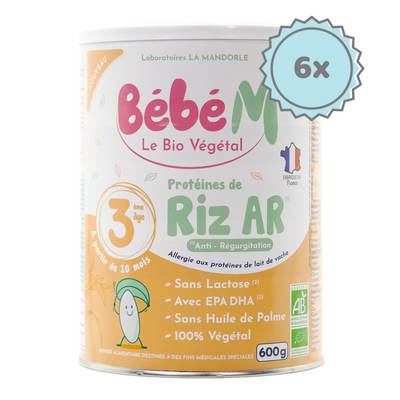 Bebe M (Bebe Mandorle) Organic Anti-Reflux Rice-Based Formula - Stage 3 (10+ months) | Organic Baby Formula | 6 cans