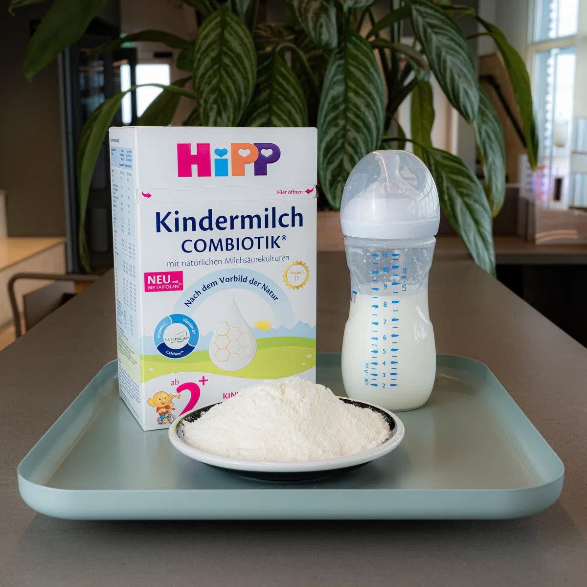 HiPP 2+ Kindermilch Formula 24+ Months | Powdered Baby Formula