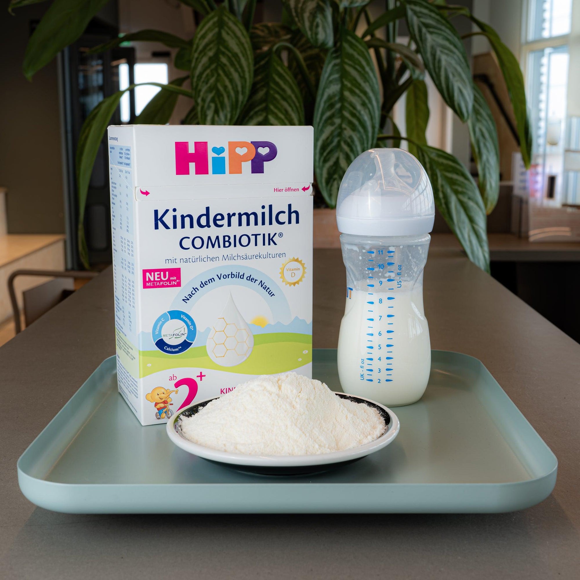 HiPP 2+ Kindermilch Formula 24+ Months | Powdered Baby Formula