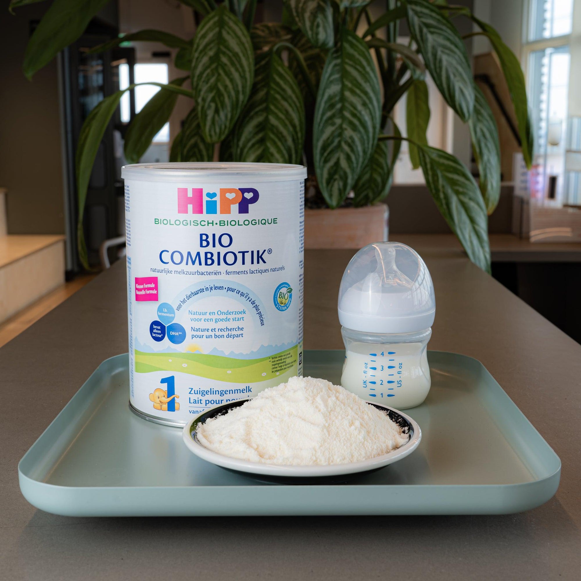HiPP Dutch Stage 1 Combiotic Infant Formula | Powdered Baby Formula