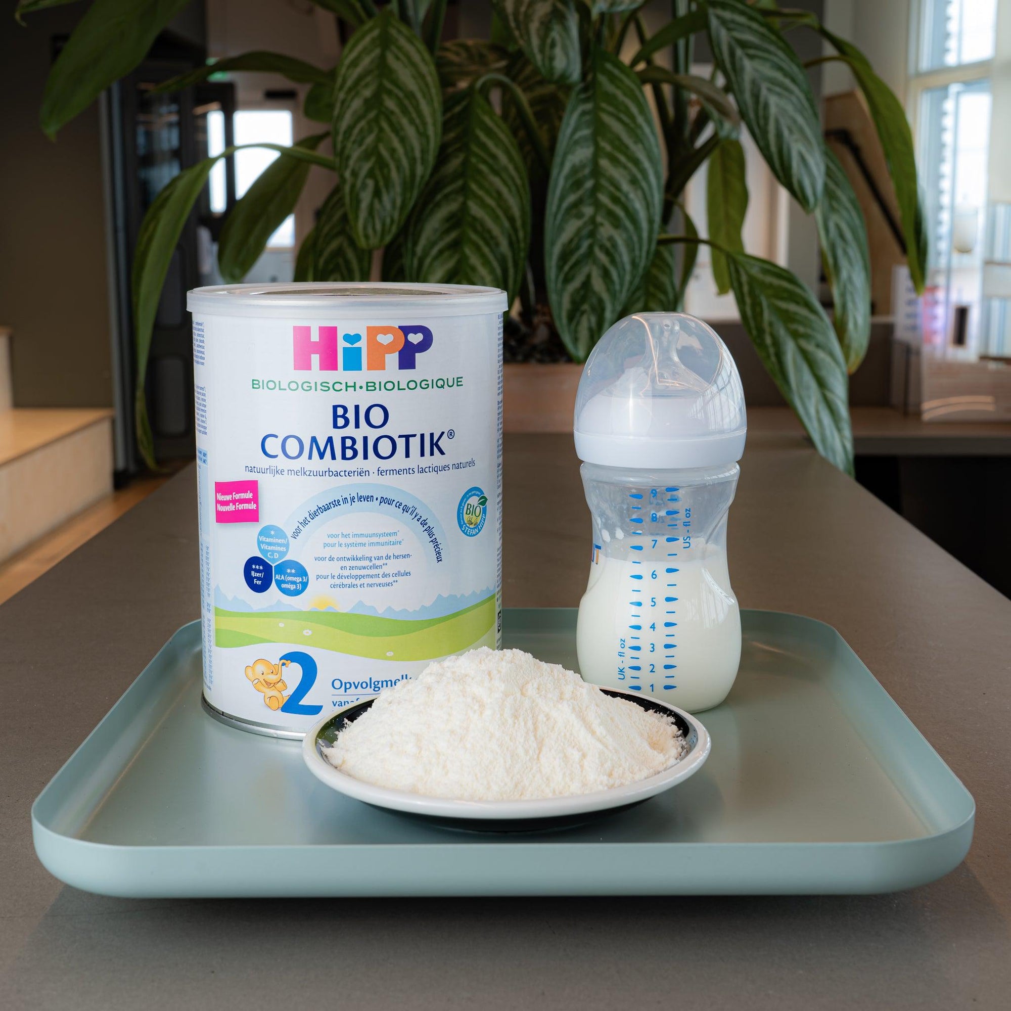 HiPP Dutch Stage 2 Combiotic Baby Formula | Powdered Baby Formula