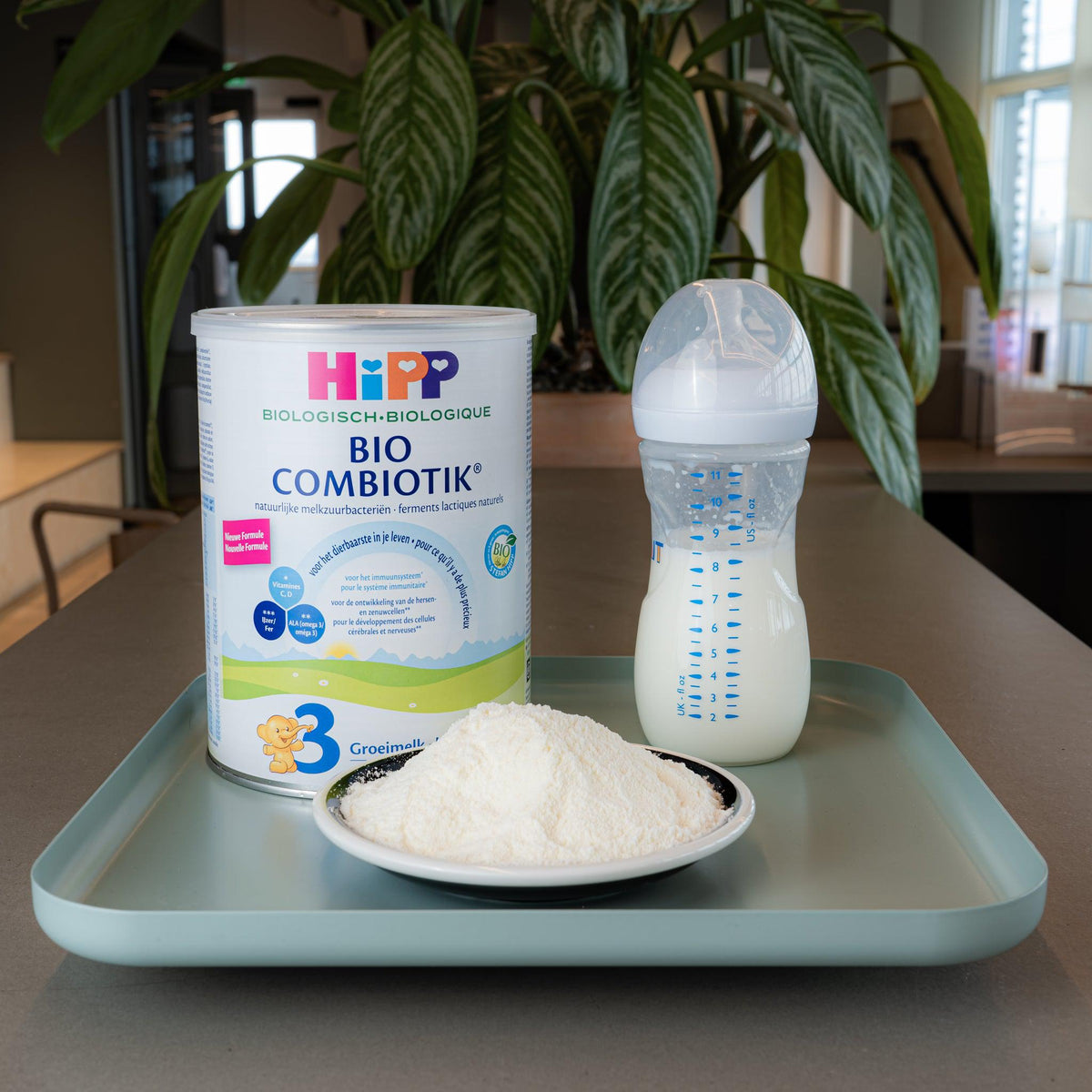 HiPP Dutch Stage 3 Combiotic Baby Formula | Powdered Baby Formula