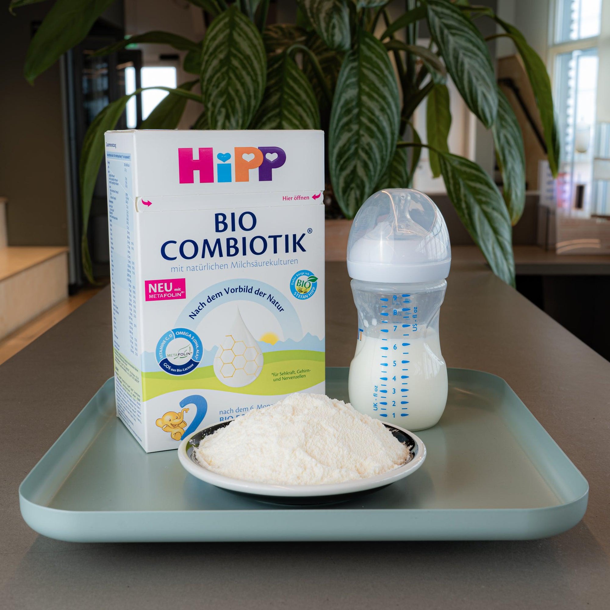 HiPP No Starch Stage 2 (6+ Months) Combiotic Formula - German Version | Powdered Baby Formula