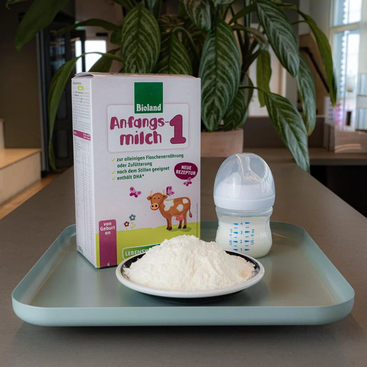 Lebenswert Bio Stage 1 (0-6 Months) Infant Formula | Powdered Baby Formula