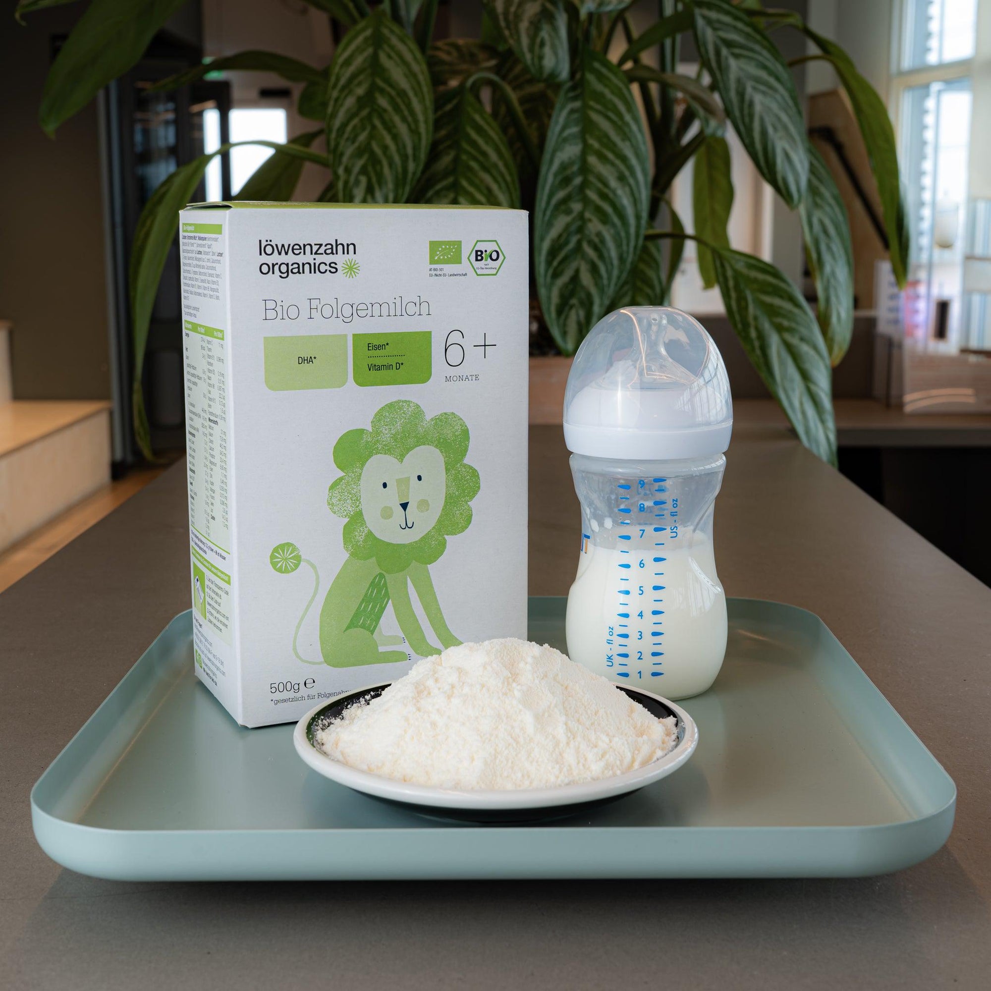 Löwenzahn Organics Stage 2 (6-12 Months) Formula | Powdered Baby Formula